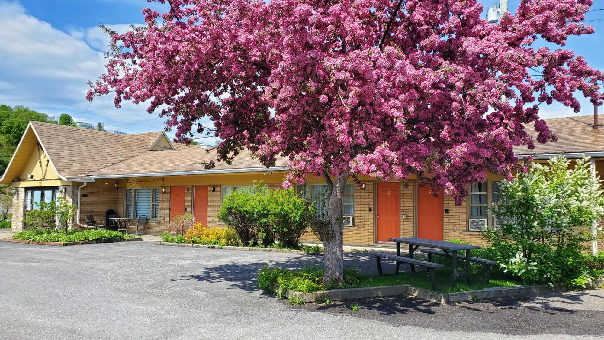 Lofts Fleuve Et Montagnes Motel Sainte-Anne-de-Beaupre Ngoại thất bức ảnh